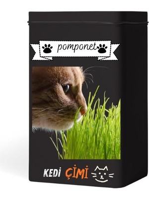 Generic Evde Kolay Yetiştirme – Pomponet Kedi Çimi ile Yıl Boyu Yeşillik!