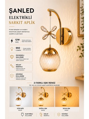 ŞANLED Dekoratif 12W Iç Mekan Bronz Kasa 3 Renkli Işık Modern Duvar Aplik Elektrikli