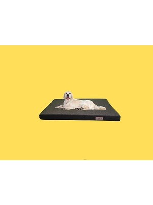 Esranın Dünyası Ant.gri Kedi-Köpek-Yatak-Minder-Mat-Kulübe-Küçük-Orta-Büyük Irk (Xx-Large)