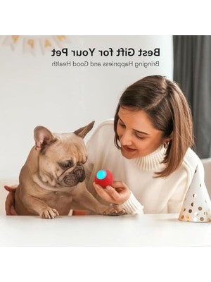 Hakay Etkileşimli Köpek Topu, Wicked Ball Se Modeli ile Eğlenceli Bir Oyun Deneyimi Sunar.