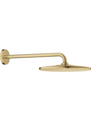 Grohe Rainshower Mono 310 Tepe Duşu Set 422MN 1 Akışlı Supersteel 26558DC0