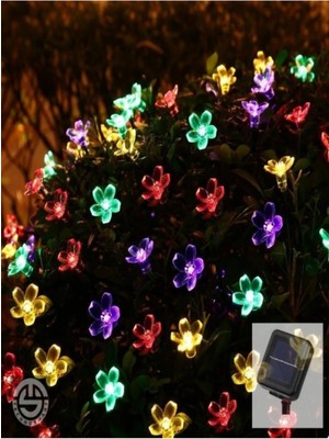 Empressco Solar 30 Ledli Çiçekli Rgb Bahçe Aydınlatma Dekorasyon Güneş Enerjili