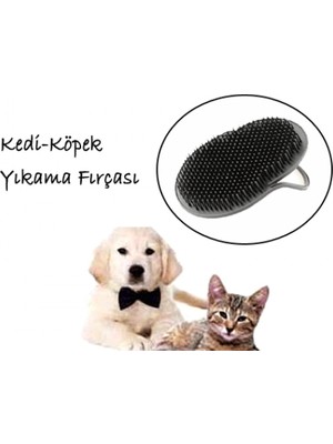 Kedi Yıkama Fırçası