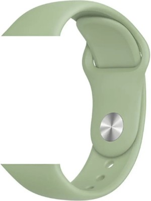 Empressco Watch 42MM Klasik Kordon-20-Mint