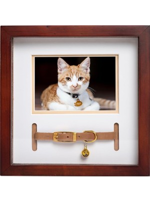 Mey İthalat Pearhead Pet Yaka Hatıra Çerçevesi, Evcil Hayvan Anıtı Resim Çerçevesi, Evcil Hayvan Sahibi Ev Dekoru, Kedi Veya Köpek Hatırası, 3 "x 4.5" Fotoğraf Ekleme, Duvara Montaj ve Masa Üstü Çerçeve, Espresso