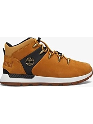 Timberland Çocuk Ayakkabı TB0A6BXDEJS1 Sarı/siyah