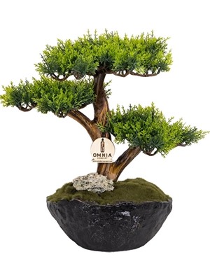 Omnia Calipso Bonsai CLPSBNS001