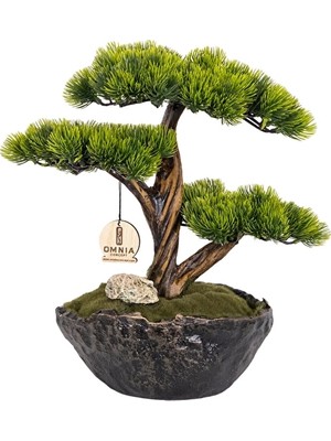 Omnia Calipso Bonsai CLPSBNS003