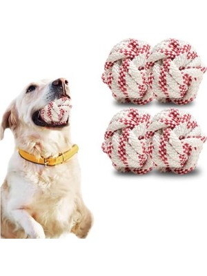 Die Grup Köpek Eğitim Oyuncağı, 4 Adet Top ile Eğlenceli Oyun
