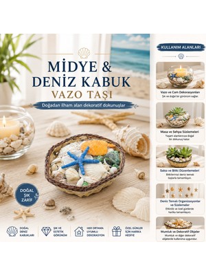 Aydogan's Ayd Küçük - Kare - Ahşap Sepetli Renkli Mix Midye - Deniz Kabuk Vazo Taşı