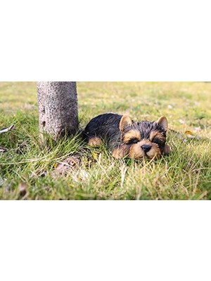 Yake Store Runadı Hi- Line Gift 87710-M Yorkshire Terrier Köpek Uyuyan Evcil Hayvan Dostları Heykeli, Siyah