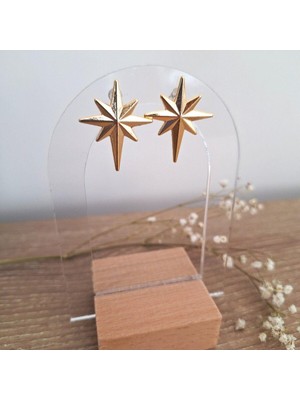 Svc Accessories Kutup Yıldızı Küpe
