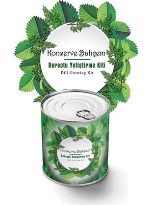 Uravas Store Konserve Bahçem Evde Konservede Dereotu Yetiştirme Kiti Aparatı