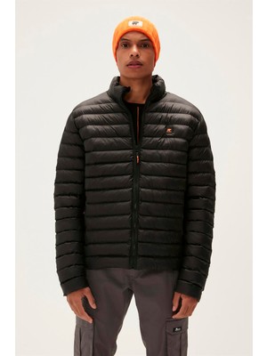 Bad Bear Archer Puffer Night