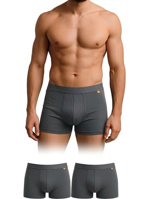 Dayco Premium Bambu Erkek Boxer Füme Renk Ikili Paket - BBX102-S-FUME-CIFT