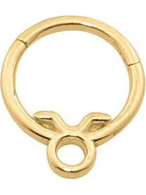 Boğa Burcu Halka Helix Piercing