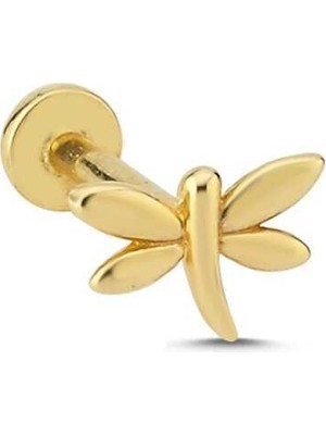 Yusufçuk Tragus Piercing