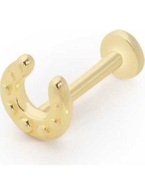 Nal Tragus Piercing
