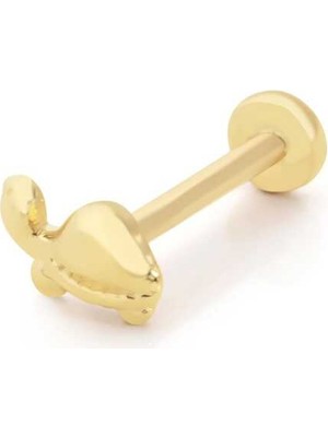 Kaplumbağa Tragus Piercing