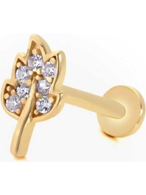 Yaprak Model Tragus Piercing