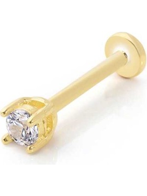 Mini Dört Tırnak Tektaş Tragus