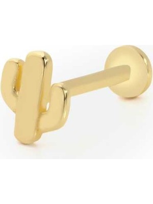 Kısa Boy Kaktüs Model Tragus Piercing
