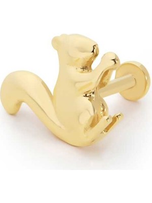 Sincap Tragus Piercing