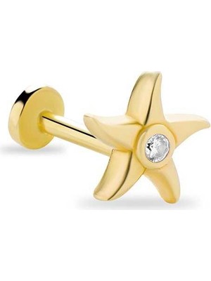 Deniz Yıldızı Tragus
