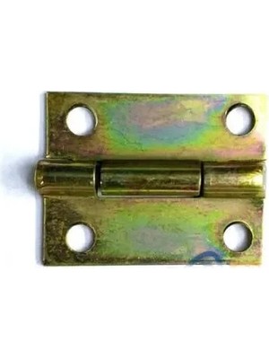 Mudanis Tavla Menteşesi Eko 25X20 mm - 1 Adet Çok Renkli