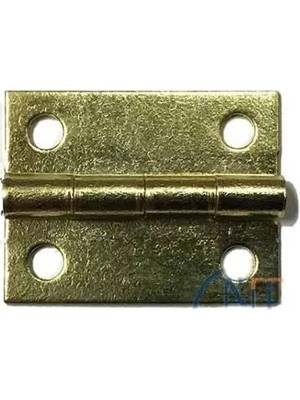 Mudanis Tavla Menteşesi No:3/4 - 20MM, Sarı, 1 Adet Çok Renkli