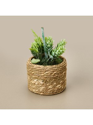 Kpm Natürel Çiçek - Asorti - 15 cm