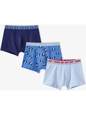 Penti Erkek Çocuk Mavi Paws For Joy Pamuklu 3'lü Boxer