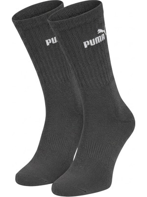 Puma  Elements Crew 3'lü Unisex Yeşil Günlük Stil Çorap 94711005