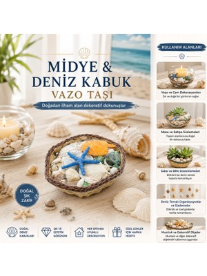Marsilyan Küçük - Kare - Ahşap Sepetli Renkli Mix Midye - Deniz Kabuk Vazo Taşı (4887)