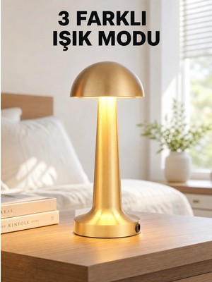 Zenviaa Mey Ithalat® Şarjlı Dimmerli LED Masa Lambası – 4-8 Saat Aydınlatma Yeni Nesil ZNV20