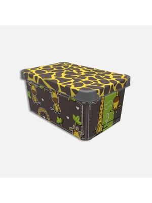 Qutu Style Box Graffi (3'li Paket)