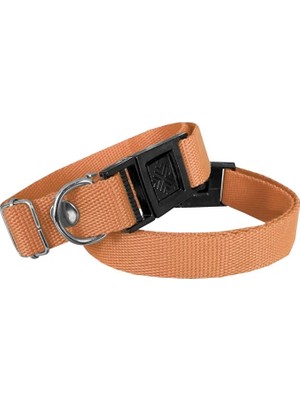 Köpek Tasması Dokuma 2 cm - Min: 30 cm - Max: 50 cm Turuncu