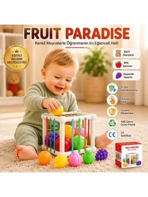 Bbsky Montessori Eğitici Bebek Oyuncakları - 10+ Ay Duyusal Gelişim Küpü, Renkli Meyve ve Şekil Eşleştirme Seti, Ilk Doğum Günü Hediyesi