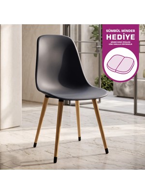Vilinze Eames Ahşap Ayak Plastik Sandalye