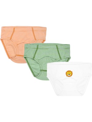 Organickid Jungle Erkek Çocuk Slip 3'lü Set