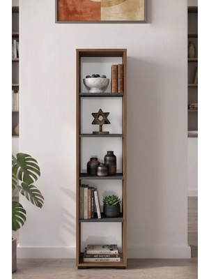 Yurupa Dante Serisi Modern 5 Raflı Kitaplık Ofis Çalışma Odası Kitaplık Ceviz-Antrasit Dan6-Can