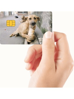 Huggy Craft Ekmek Yiyen Köpek Tasarımlı Kredi Kartı ve Akbil Kaplama Sticker