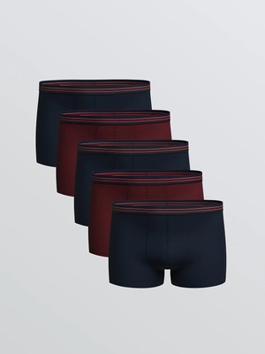 Lc Waikiki Yeni Sezon Büyük Beden Standart Kalıp Pamuklu Esnek Erkek Boxer 5'li