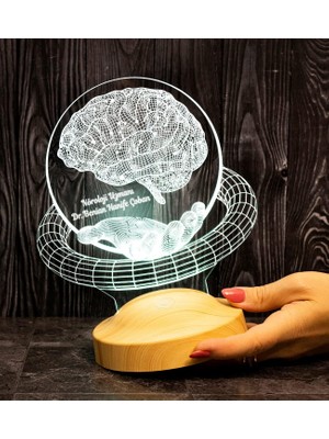 EstoreBox Nöroloji Doktoruna Hediye, Nörolog Hediyesi 3D LED Lamba