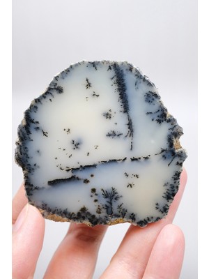 Healcrystal Krem ve Beyaz Renkli Merlinit - Krem Dendritik Opal ile Jet-Siyah Ağaç Içerikler