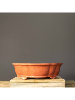 Seika Oval Bonsai Saksısı NO.132-SIRLI (41 Cm)