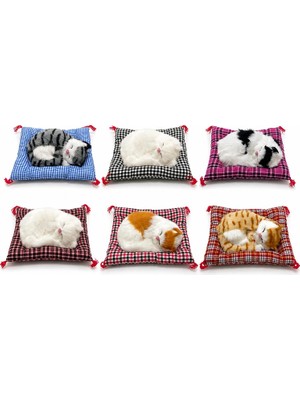 Yastıkta Uyuyan Kedi Sesli ALK25