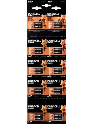 Artisan Cappadocia Duracell Ince Pil Alkalin 20 Parça (5639)