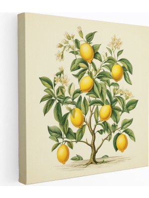Popcasso Nostaljik Limon Ağacı Kanvas Tablo