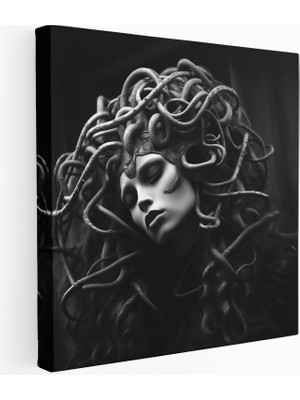 Popcasso Klasik Medusa Kanvas Tablo